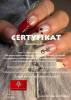 Szko�a Tw�rczych Talent�w Kreator