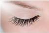 FASHION & BEAUTY Monika Kupie�