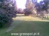 F.H.U. Grass-Pol