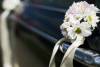 Firma Konsultingu �lubnego i Imprez Okoliczno�ciowych