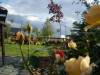 sala Weselna Polna R�a