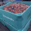 RecyklingPro