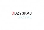 Przeszczepy Wosw Odzyskaj-grzywe.pl